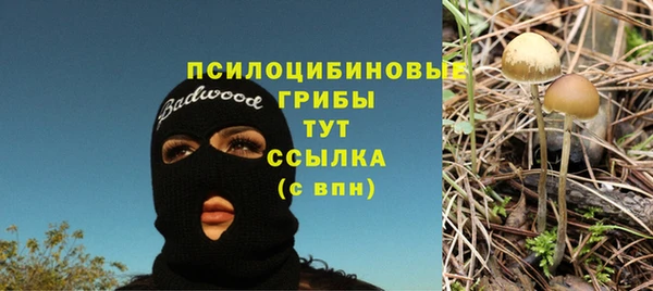 молекула духа Абаза