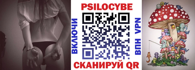 Псилоцибиновые грибы Psilocybe  блэк спрут tor  Холм 